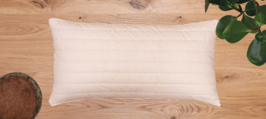 allnatura-oreiller-en-duvet-de-chameau-cammello